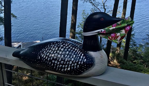 A carved loon wears a mask over its bill.