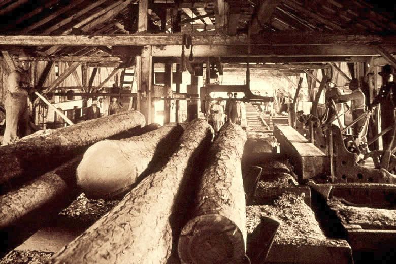 Workers stand by as logs pass down a conveyor belt in this early 20th-century sawmill. Photo courtesy of USDA Forest Service.