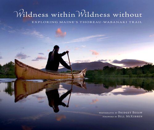 Cover of Wildness Within Wildness Without