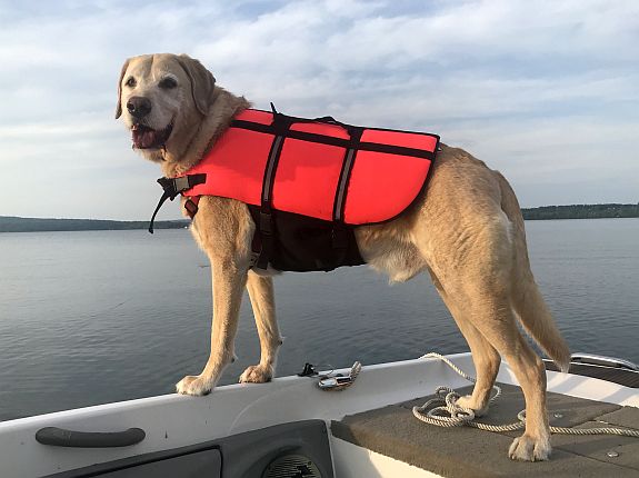 Cameron standing in the stern of a motor boat.