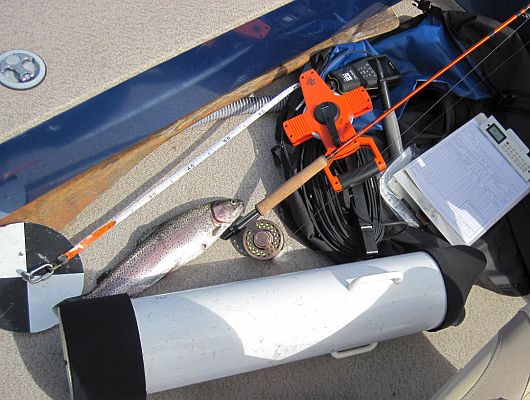 Tools of the trade (a water quality meter, Secchi disk, and an aquascope) and a bonus: a nice rainbow trout caught by fishing at the right depth in the temperature-oxygen profile.