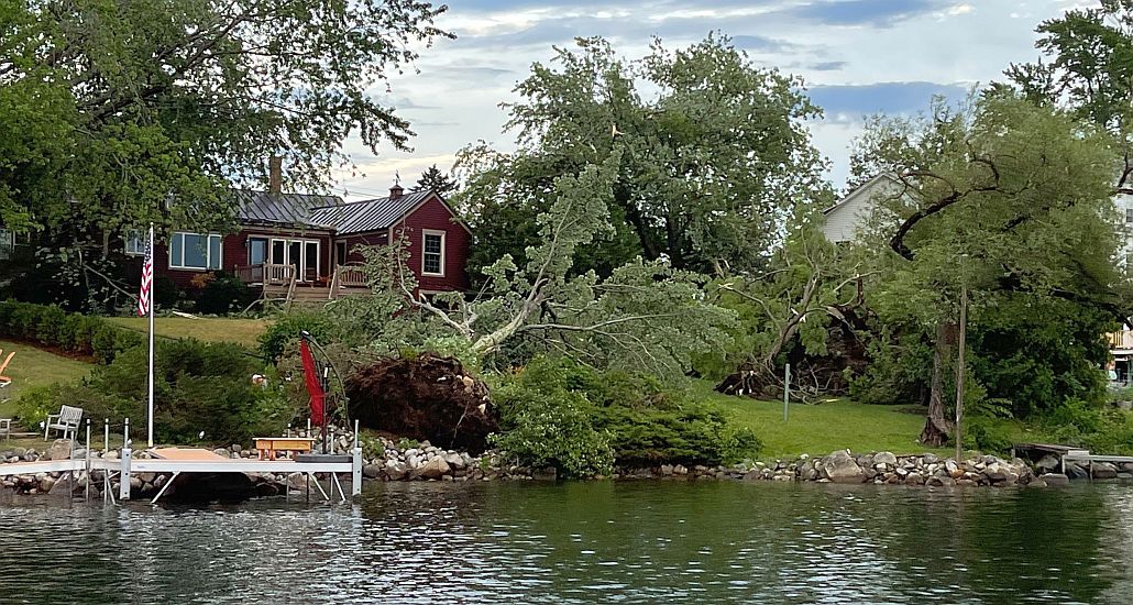 A toppled tree along the shore of Long Pond in Belgrade Lakes Village, one of many uprooted by hurricane-force winds during a severe thunderstorm on June&nbps;30.
