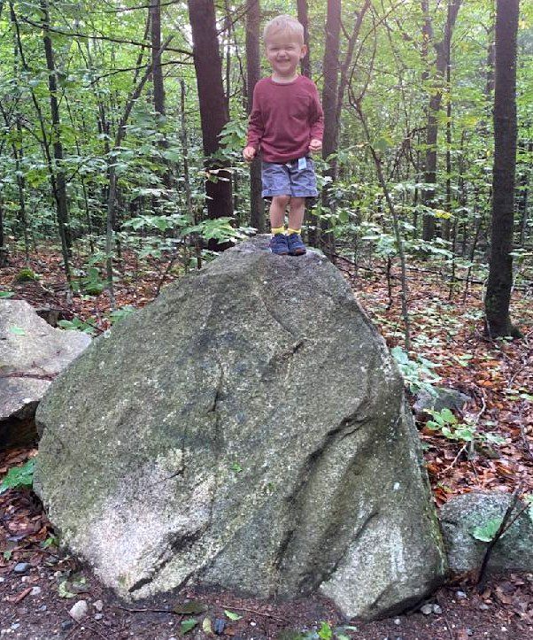 Bayard on a boulder