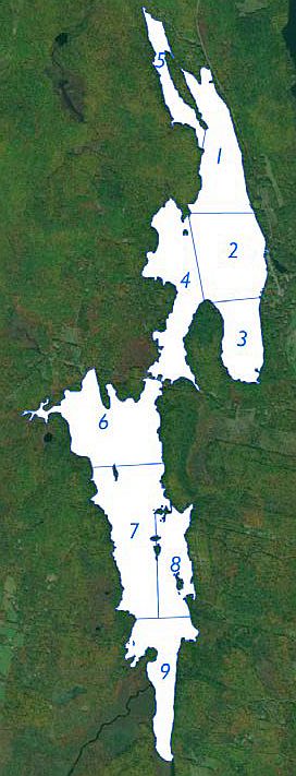 Long Pond loon survey areas