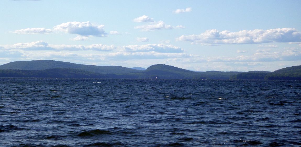 A view of Great Pond, looking north from Hatch Cove, on a blustery, early August afternoon. Photo by Gregor Smith.