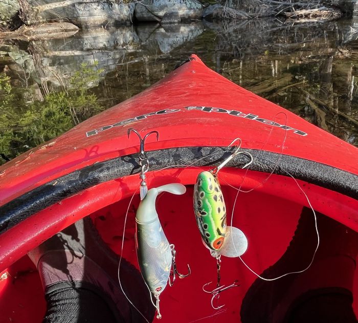 Two fishing lures recovered on 5/24/26 in Beaver Cove, upper Long Pond, on one morning!