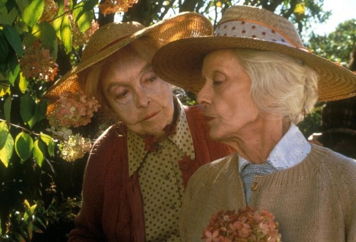 Lillian Gish and Bette Davis in The Whales of August (1987)