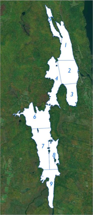 Map of Long Pond showing the survey areas.
