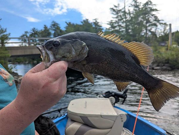 Rob holding a nice smallie (small mouth bass) caught near the Castle Island Bridge.