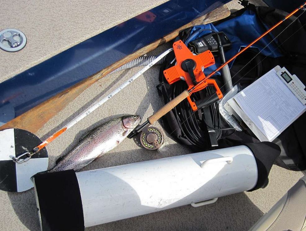 A water quality meter, a Secchi disk, an aquascope, and a rainbow trout.