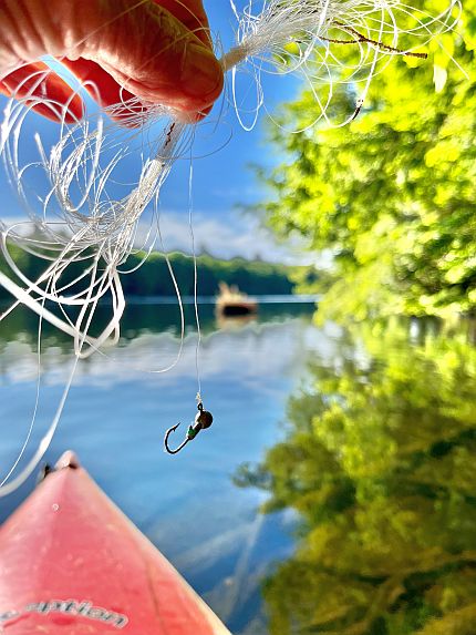 Coil of tangled fishing line and lead hook snagged on a waterside bush.